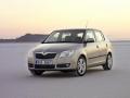 Skoda Fabia ����������