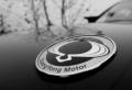 SsangYong � �������
