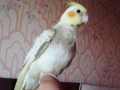 ������� ������� ������� ���������