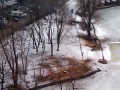 �� ������� ������ �������� �������