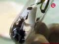 �� ������ ������ ���������� 154 ������������