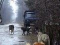 �������� �� ��������� � ������� �������� �� �����