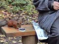 � �������������� ���������� ����������� ������