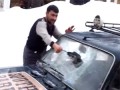 �������� �����