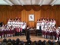 ������ ���������� ���������������� �������������� ����������� �����
