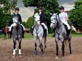 ����������� ����� VSedlo.ru ������ �������� ����� �� ���������� ����������� ������������� ����� �� �������