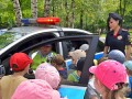 ������� ����������� ����� � ��������������� �����������
