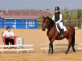 ������ ���� VSedlo.ru ���������� ����� �� 10 ��� �  ������ �������� ���� 