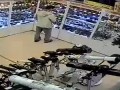 ��������� �������� ��������� 