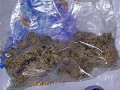 � �������� ��������� ��������� �������� ������