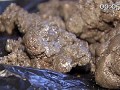 � ������ ��������� ��������� ������� �������