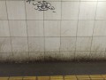 ����� �������������?
