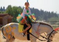 ���� Vsedlo.ru ���������� �� ����������� ��������������� �������� � 2015�