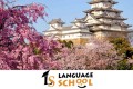 Language school ���������� �������� ������ �������� � ������