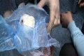 � 18-� ����������� ������� �������� �����������
