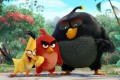 �Angry Birds � ����, ��������, ������ ���������, ��� ���� �������!�, �������� ��������, ��������� ������, �����-7