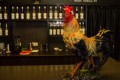 Roosters's � ����� ����� �� ����� �����������
