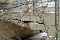 ������������� ������� ���� � 7-� ����������� ��������� ��������������� � �������� ����