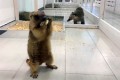���������� ������� � ������������� ������� ����� ����� ���������� ������