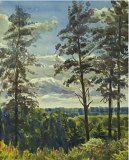 �� ���� ���������