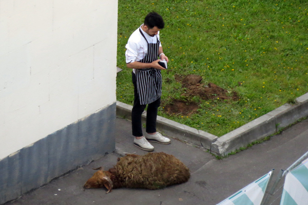 � ���� ���������-������ �������� ������