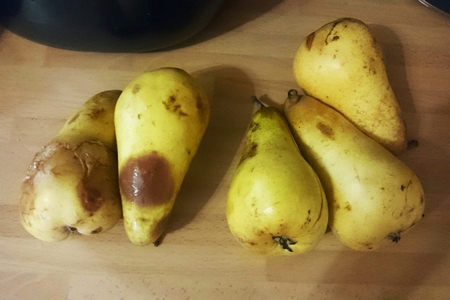 ���� ����� � ������ ������