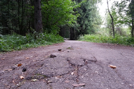 � ��������� ����� 4-� � 12-� ������������ ������������� �������