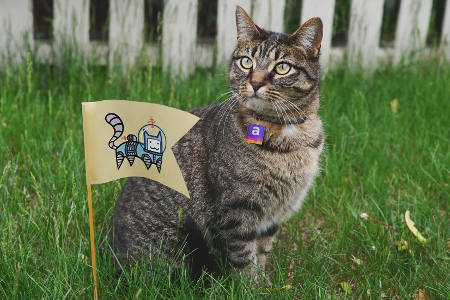 � ����������� ��������� ����� ���������������� ������������ ��� ����� 7-12 ���