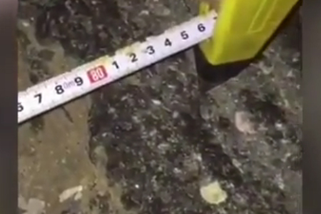 14 ����� � ��������� �������� ��������� �� ����������� ����� �����������