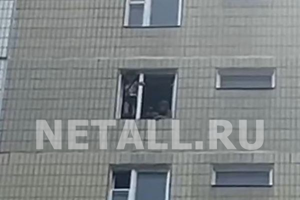 ������� �� �����������. ����� ��������