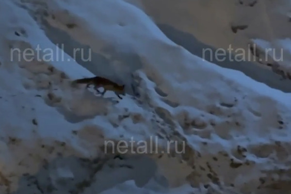 ������� ���������� � ��� ����� ���� ��� ����� �������. ����� � ����� �� ��������