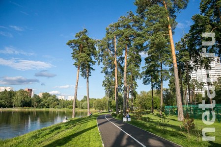 � ������� �� �������� ����� ������� ��������� �������