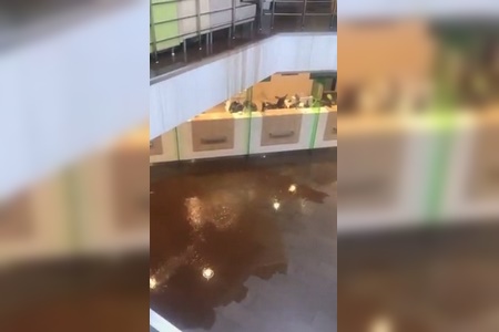 ����� � ����������