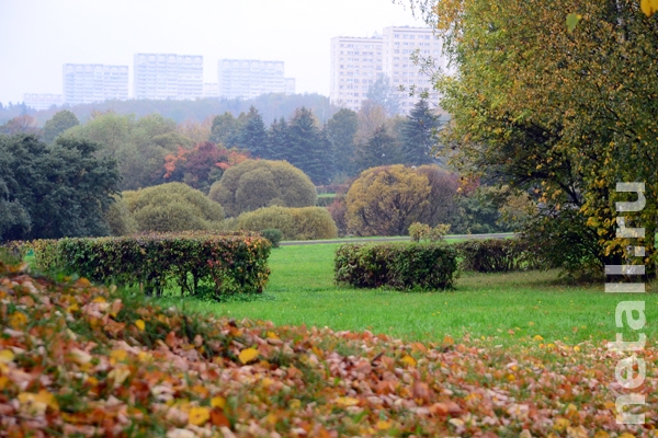 ���� ������ �������� �������������