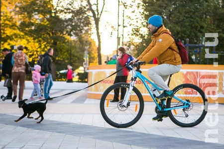 �� ������� ������ �������� ����� ������� ����������� � �������