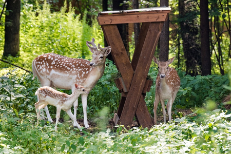 ���� ���� ���������� � ������������� � �������� ������� ���������� � �����