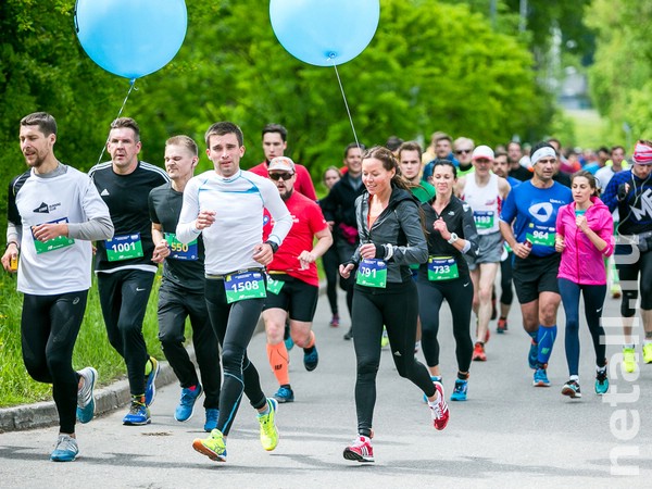 ������, ����� ���������