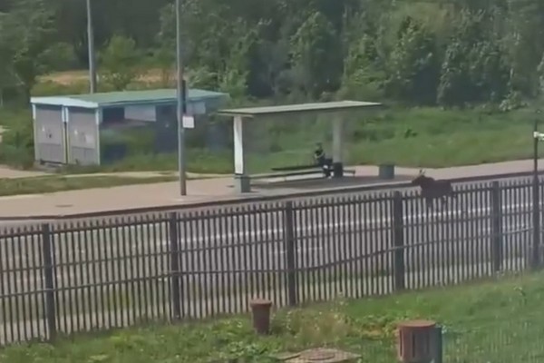 ������� ����. ����� �� ����������� � ���������